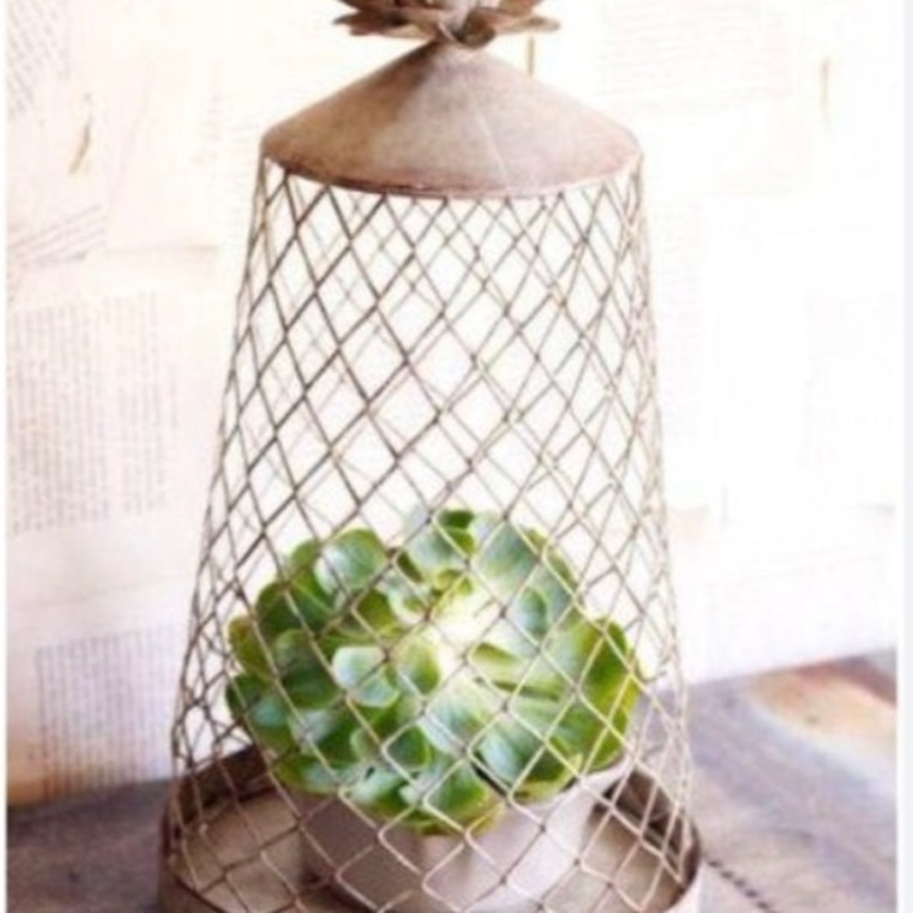 Willow House Aldridge Wire Cloche (NIB)